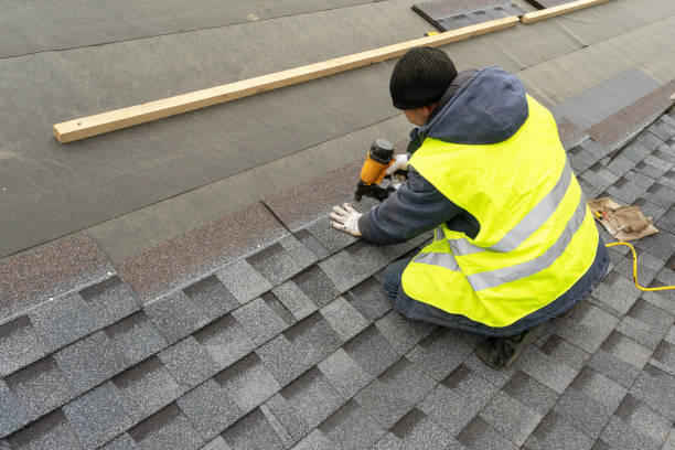 Roof Gutter Cleaning in Colonia, NJ